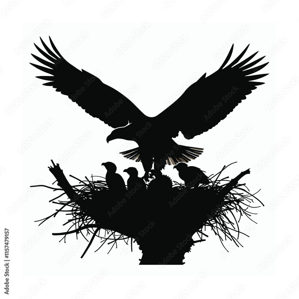 Obraz premium Bald eagle silhouette vector illustrations