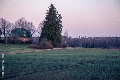 green agricultural field in autumn, bir spruce tree and house on the hill photo