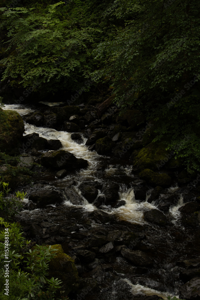 River flowing through woodland in Lake District River flowing through woodland in Lake District