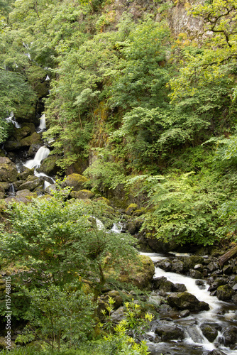 River flowing through woodland in Lake District