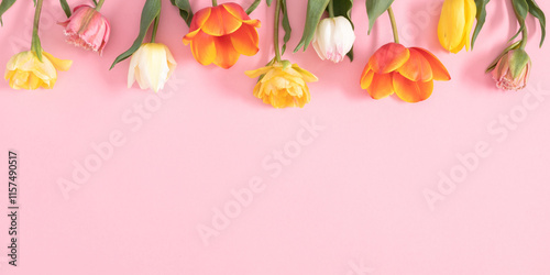 Flower composition on pastel pink background. Beautiful multicolored tulips, border, pattern with empty space. Easter, Mother's Day, Women's Day