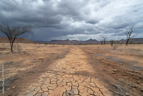 Cracked dry earth road leading into a vast desert landscape under storm clouds photo