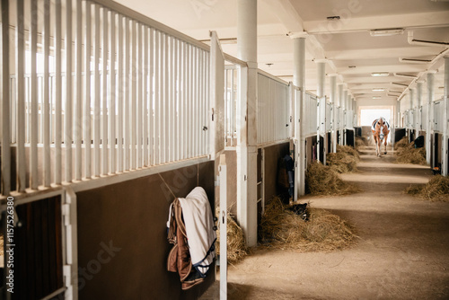 Sunny Corridor stables, horse stalls photo