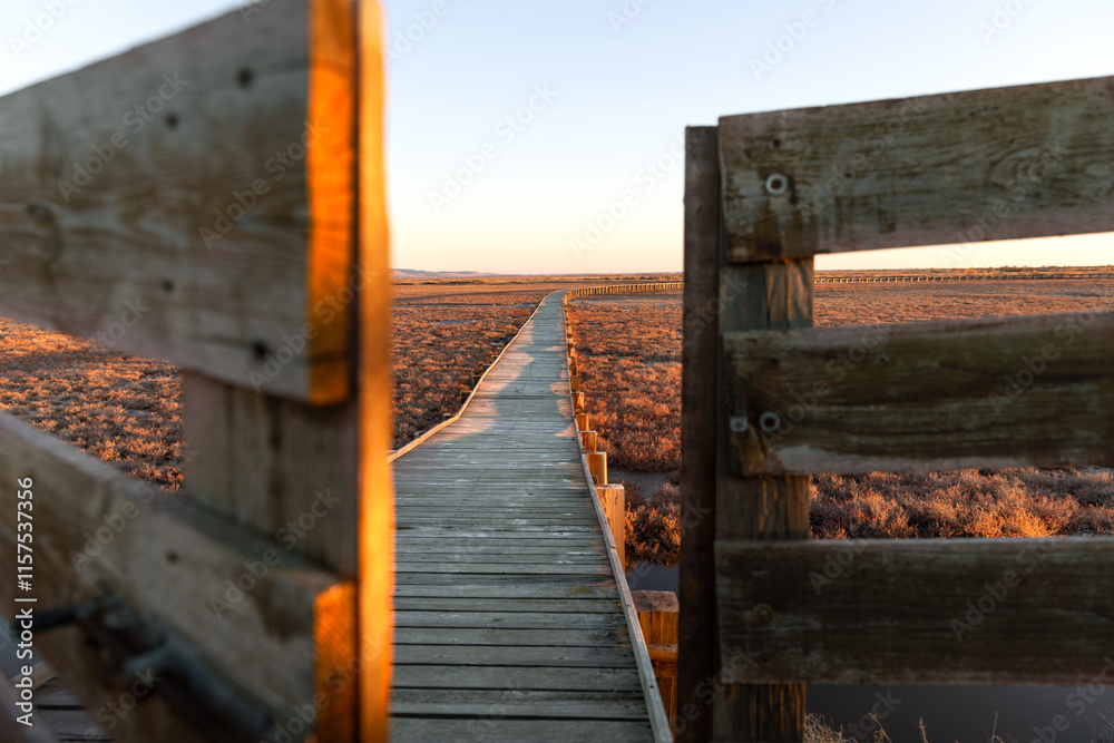 Obraz premium View from Bird observatory at National Park of Evros Delta, near Alexandroupolis and Turkish border, Dadia forest and protected wetland, sunset or sunrise