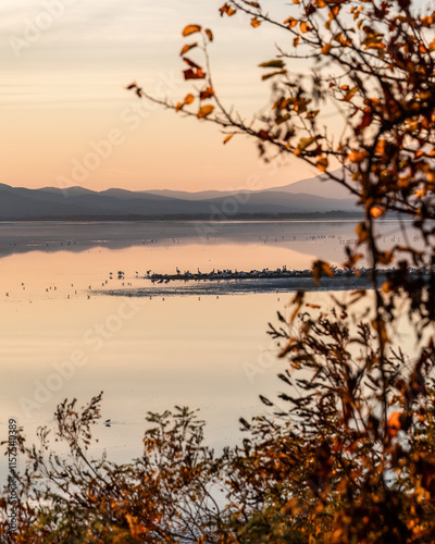 Beautiful sunset scenery on Kerkini lake Macedonia Greece, golden hour and sunrise