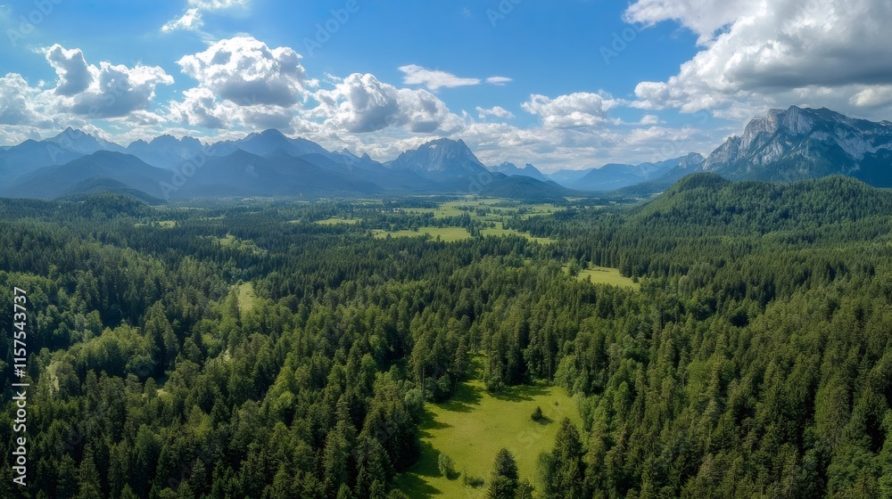 Breathtaking aerial view of lush green forest and majestic mountains under cloudy sky Breathtaking aerial view of lush green forest and majestic mountains under cloudy sky
