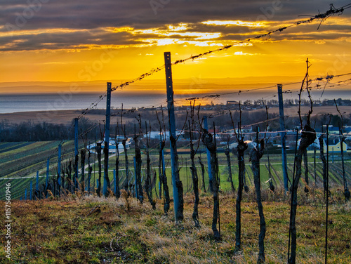 Das Foto zeigt einen  Sonnenuntergang über dem Neusiedler See in Österreich.  Aufgenommen aus den Weingärten in Neusiedl.