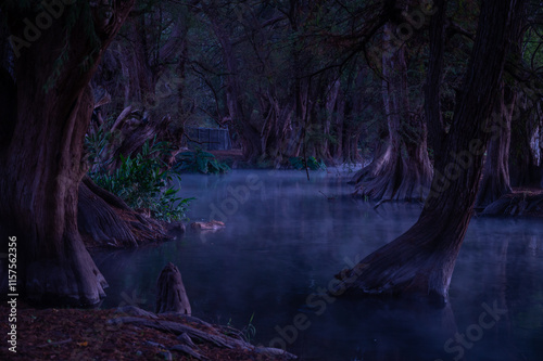 Camécuaro y sus diversos paisajes photo