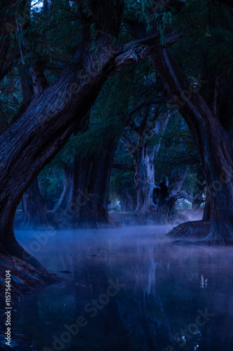 Camécuaro y sus diversos paisajes photo