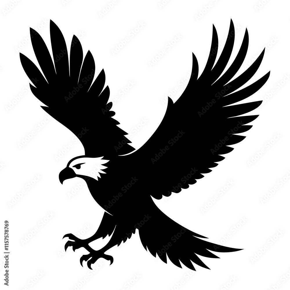 Fototapeta premium eagle in flight