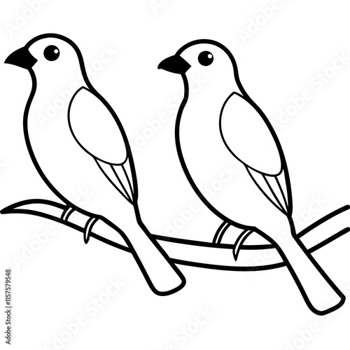 birds on a branch