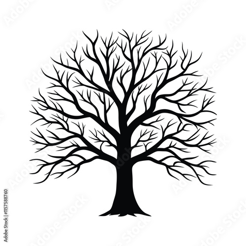 Silhouette of a Leafless Tree with Branches - Elegant Nature Vector photo