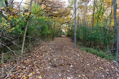 A public trail passes through the Wisconsin forest for hikers to enjoy in October . photo