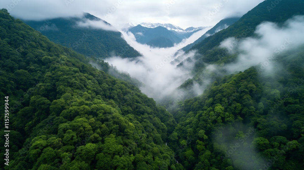 Obraz premium Lush green valley surrounded by forested mountains with white mist image. Serene misty hills photography scene wallpaper. Foggy Alpine scenery concept photorealistic photo
