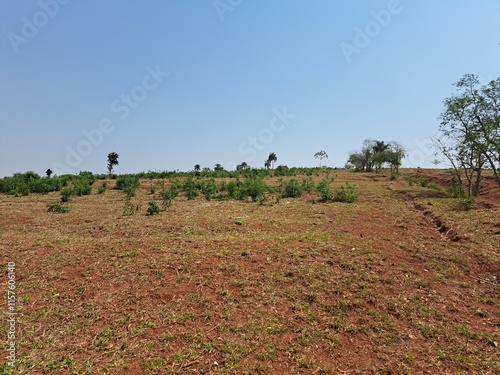 Uma área sêca devido às mudanças climáticas que ocasionaram a falta de chuvas na região sudeste do Brasil. photo