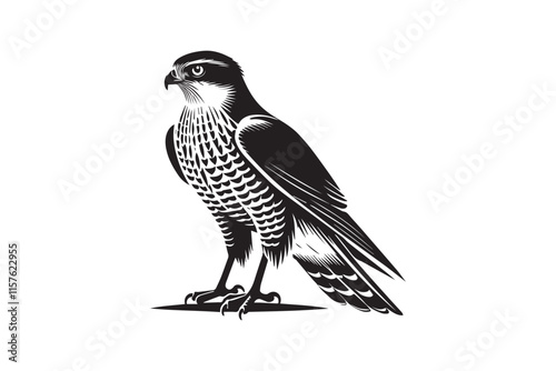simple black an white goshawk vector silhouette isolated on a white background