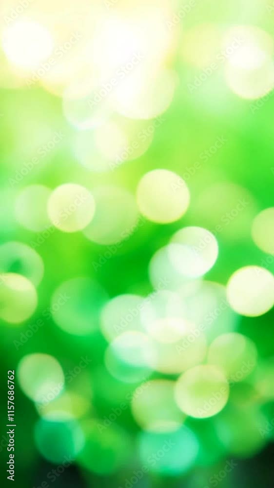 bokeh light from real leaves of fresh green trees, blurred nature scene background with lights and copy space for travel, relaxation, gardening and environment bokeh light from real leaves of fresh green trees, blurred nature scene background with lights and copy space for travel, relaxation, gardening and environment