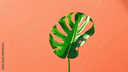 Single tropical leaf against a coral background showcasing vibrant green foliage and sunlight