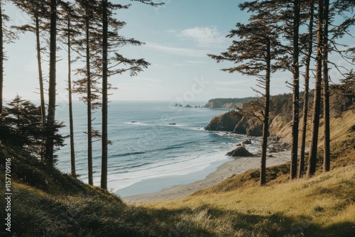 A beautiful view of the ocean with a forest in the background photo