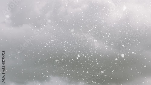 View of snowflakes falling in a storm