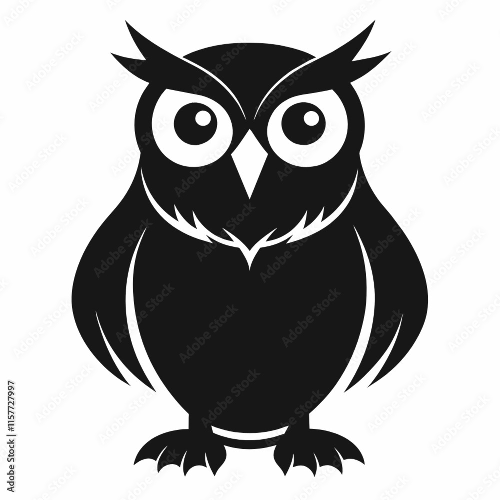 owl owl