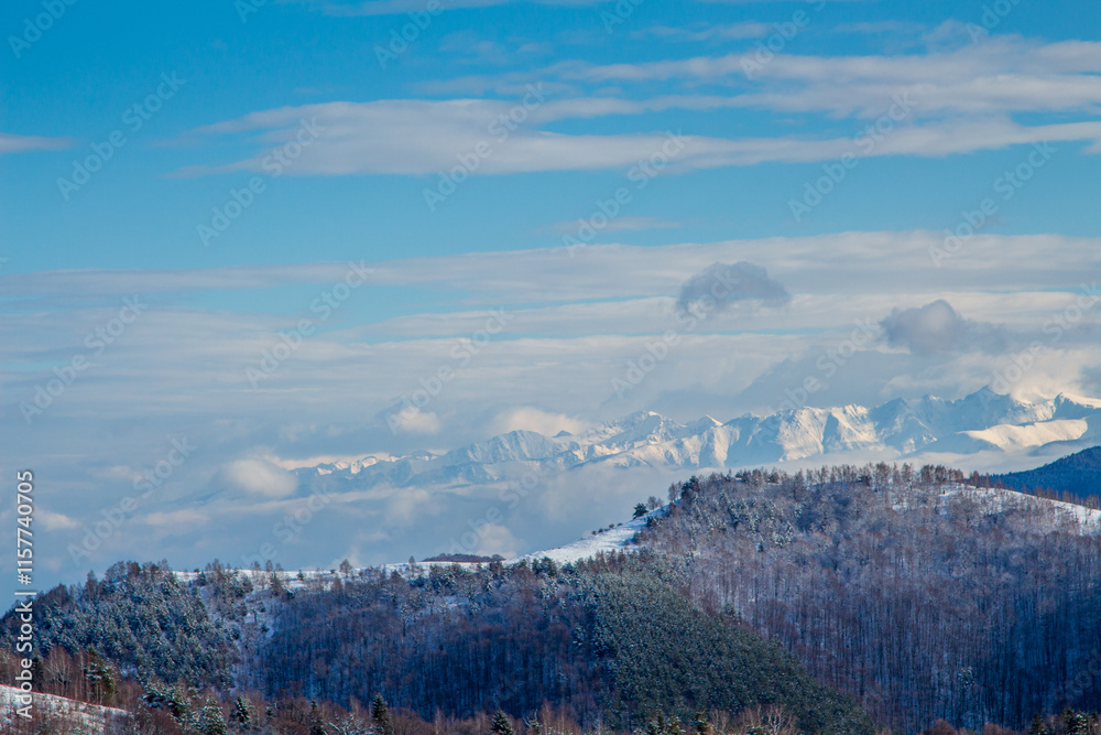 Fototapeta premium Winter time