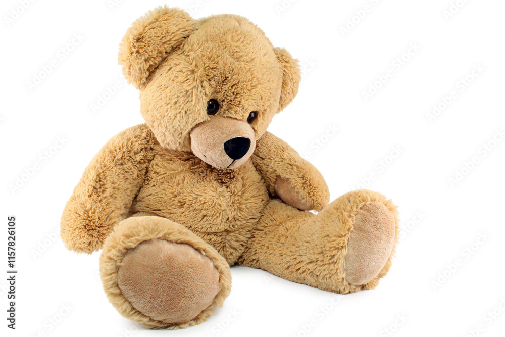 Obraz premium Nounours