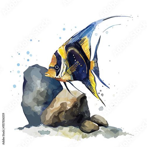 A watercolor painting of an angelfish gliding near rocks, isolated on a white background. Angelfish vector.
