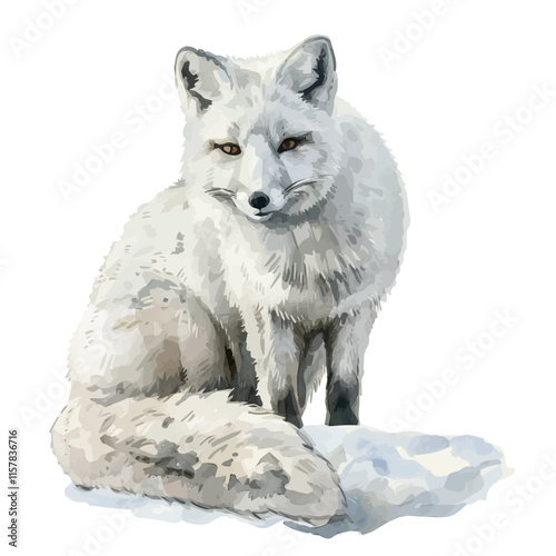 A watercolor vector of an Arctic fox hunting for food, isolated on a white background. Arctic fox vector.
