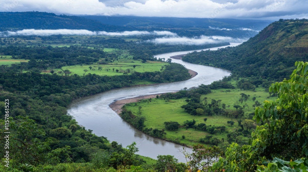 Fototapeta premium Misty Hills with Winding River and Lush Forest View