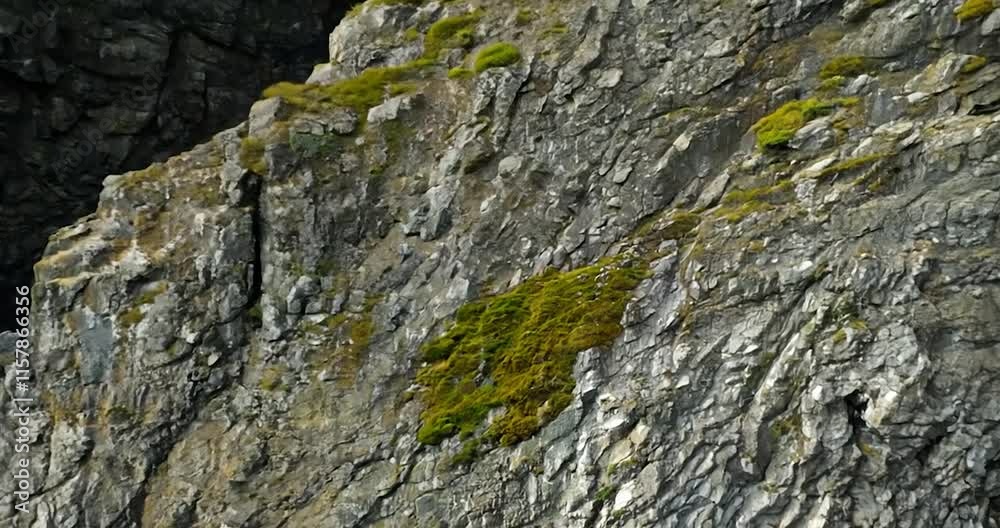 a rugged Icelandic cliff face, with sharp, jagged rocks covered in sparse moss and lichen. The camera slowly pans over the details of the rough, a rugged Icelandic cliff face, with sharp, jagged rocks covered in sparse moss and lichen. The camera slowly pans over the details of the rough,