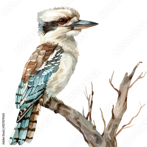 A watercolor painting of a kookaburra perched on a tree, isolated on a white background. Kookaburra vector.
