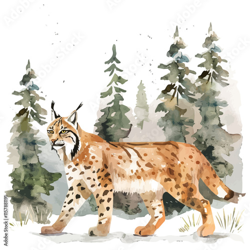 A watercolor vector of a lynx walking in a snowy forest, isolated on a white background. Lynx vector.
