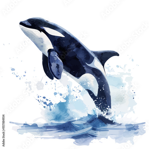 A watercolor painting of an orca breaching in the ocean, isolated on a white background. Orca vector.
