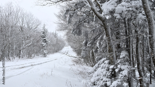Spruce Knob Blizzard. 