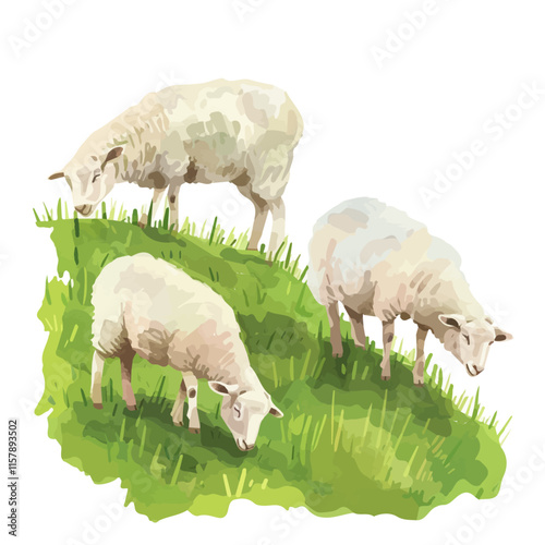 A watercolor vector of a sheep grazing on a hillside, isolated on a white background. Sheep vector.
