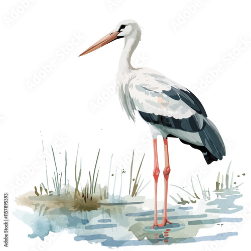 A watercolor drawing of a stork standing by a lake, isolated on a white background. Stork vector.
