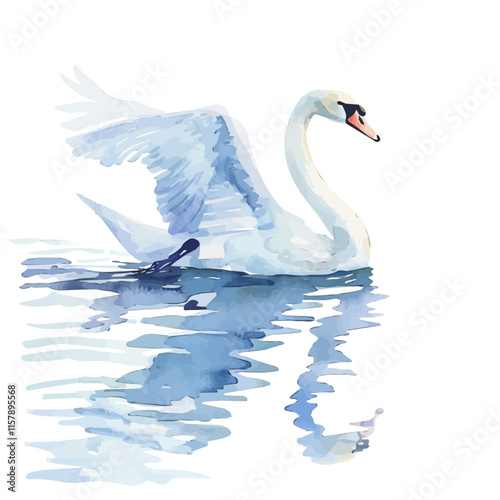A watercolor drawing of a swan gliding on a lake, isolated on a white background. Swan vector.

