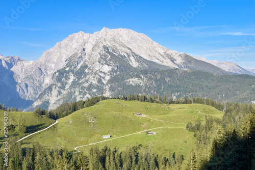 view of Mt. Watzmann and Buechsenalm meadow at Berchtesgaden national park, bavaria, germany photo