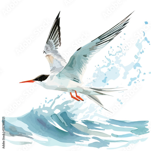 A watercolor vector of a tern skimming the ocean waves, isolated on a white background. Tern vector.
