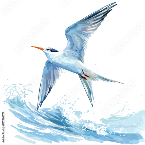 A watercolor vector of a tern skimming the ocean waves, isolated on a white background. Tern vector.
