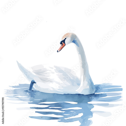 A watercolor drawing of a swan gliding gracefully across the lake, isolated on a white background. Swan vector.
