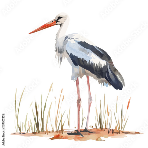 A watercolor painting of a stork standing on one leg in a marsh, isolated on a white background. Stork vector.
