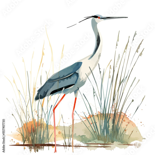 A watercolor illustration of a stilt walking in a marsh, isolated on a white background. Stilt vector.
