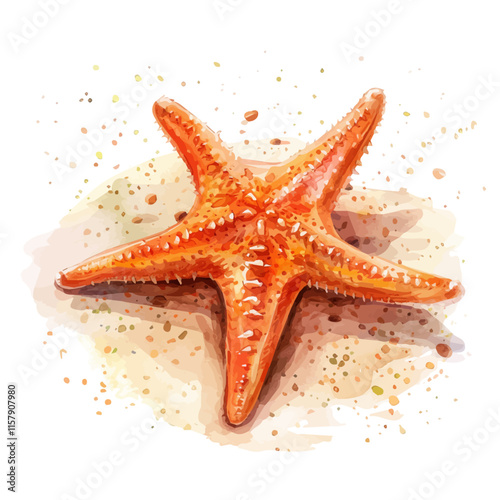A watercolor vector of a starfish resting on the ocean floor, isolated on a white background. Starfish vector.
