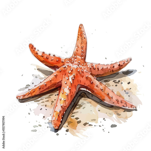 A watercolor vector of a starfish resting on the ocean floor, isolated on a white background. Starfish vector.
