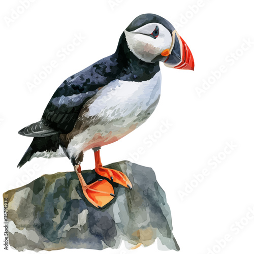 A watercolor painting of a puffin standing on a rocky ledge, isolated on a white background. Puffin vector.
