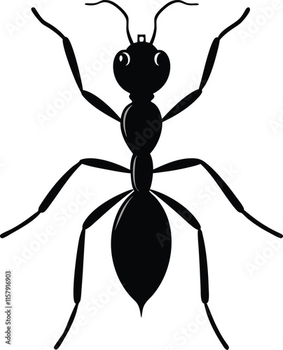 Vector silhouette of ant on white background. 