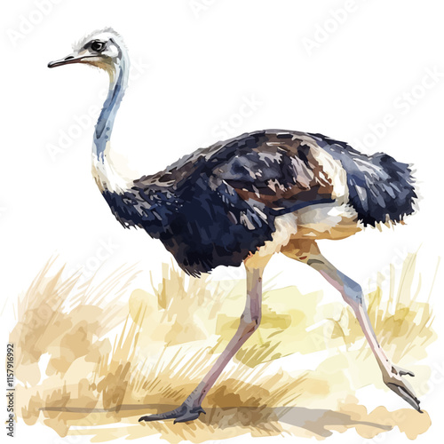 An exciting image of an ostrich running through the savanna, highlighting its speed and agility.

