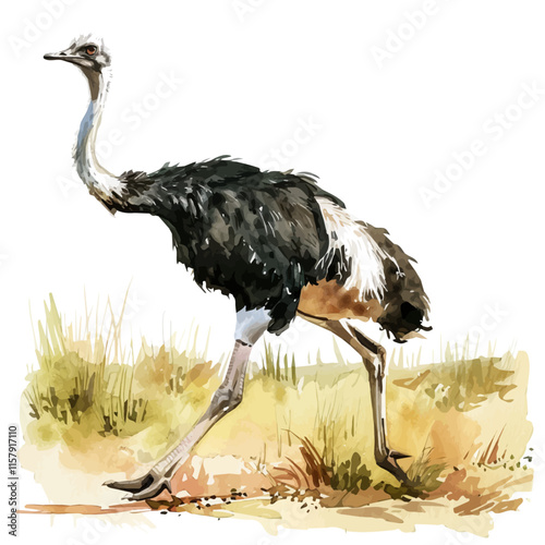 An exciting image of an ostrich running through the savanna, highlighting its speed and agility.

